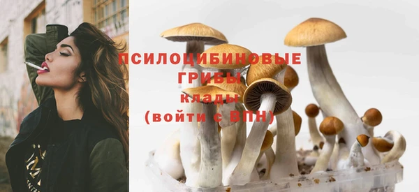 марки lsd Балабаново