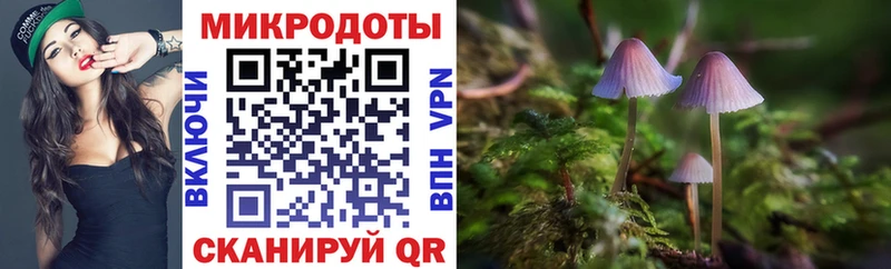 сколько стоит Гаджиево Галлюциногенные грибы мухоморы